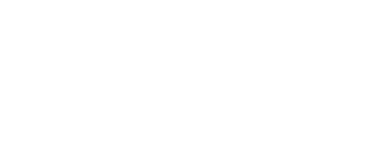 OVERRIDE